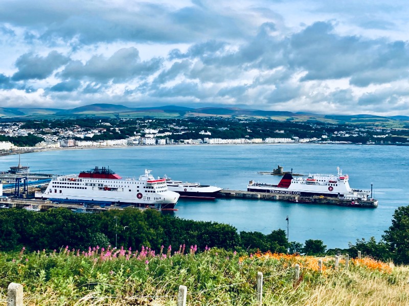 2025 a 'record year' for SPC