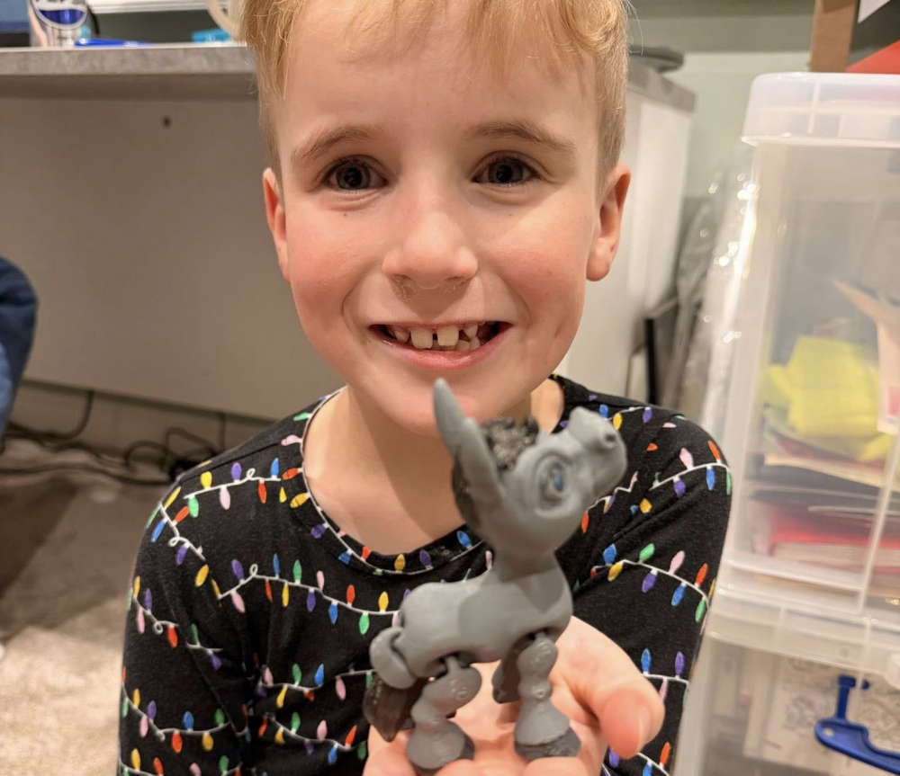 7 year old's selling animal figures