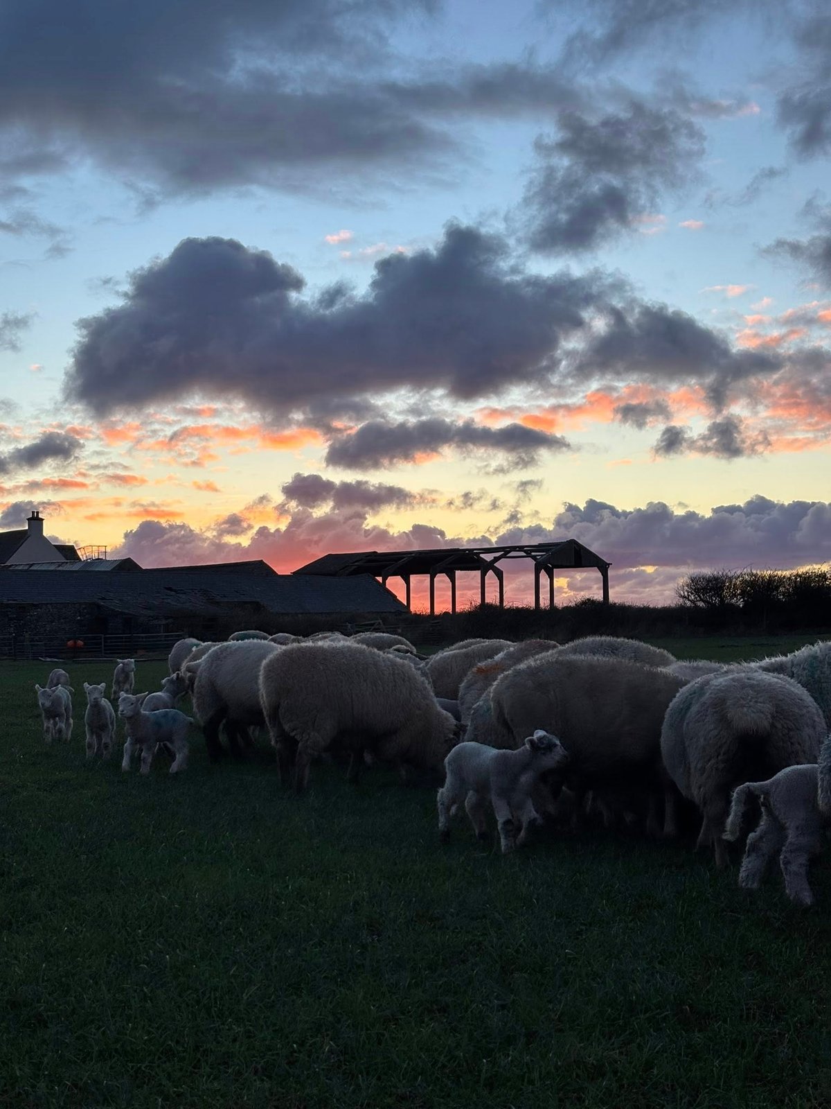 Farm outlines safety measures amid stoma