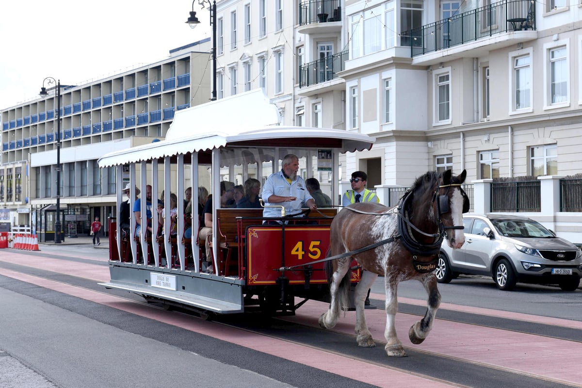 Horse trams could return to full Prom ro