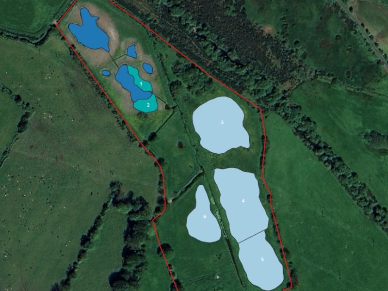 Manx Wildlife Trust seeks planning appro