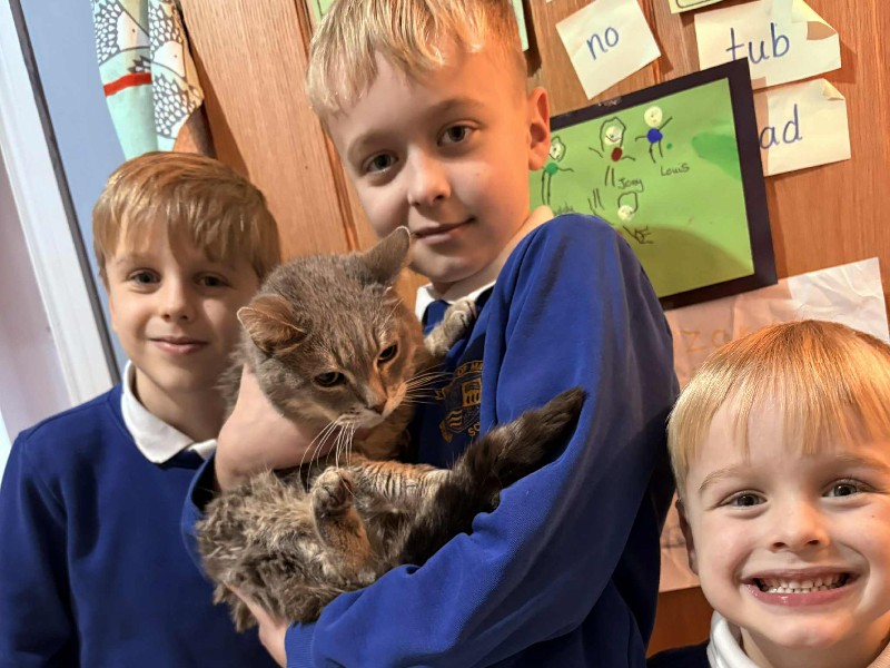 'Never give up hope': Milo the