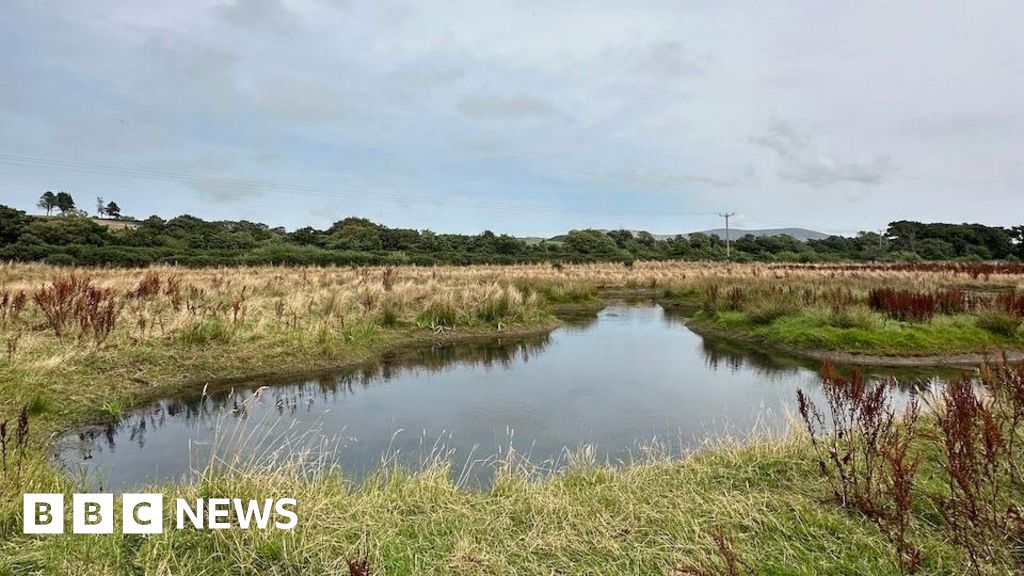 Proposed wetlands will 'create mosa