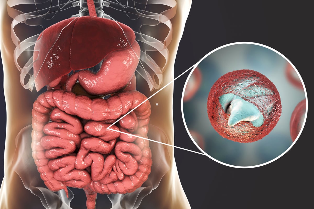 Public Health issues stomach bug reminde