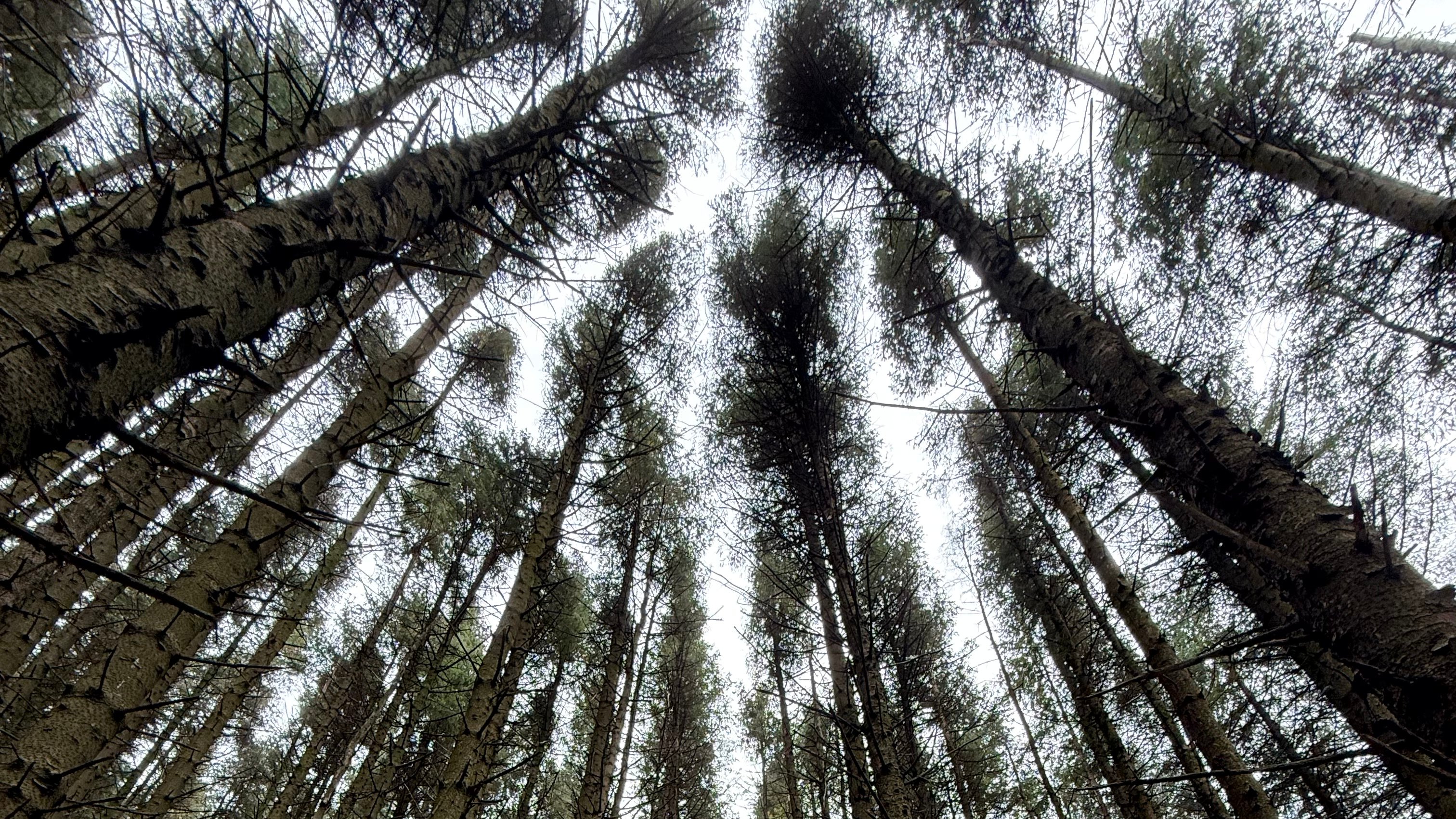 Public invited to shape future of Isle o