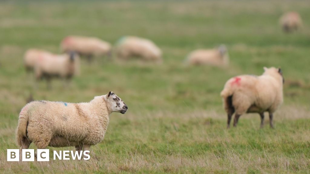 Warning of parasite outbreak passed on f