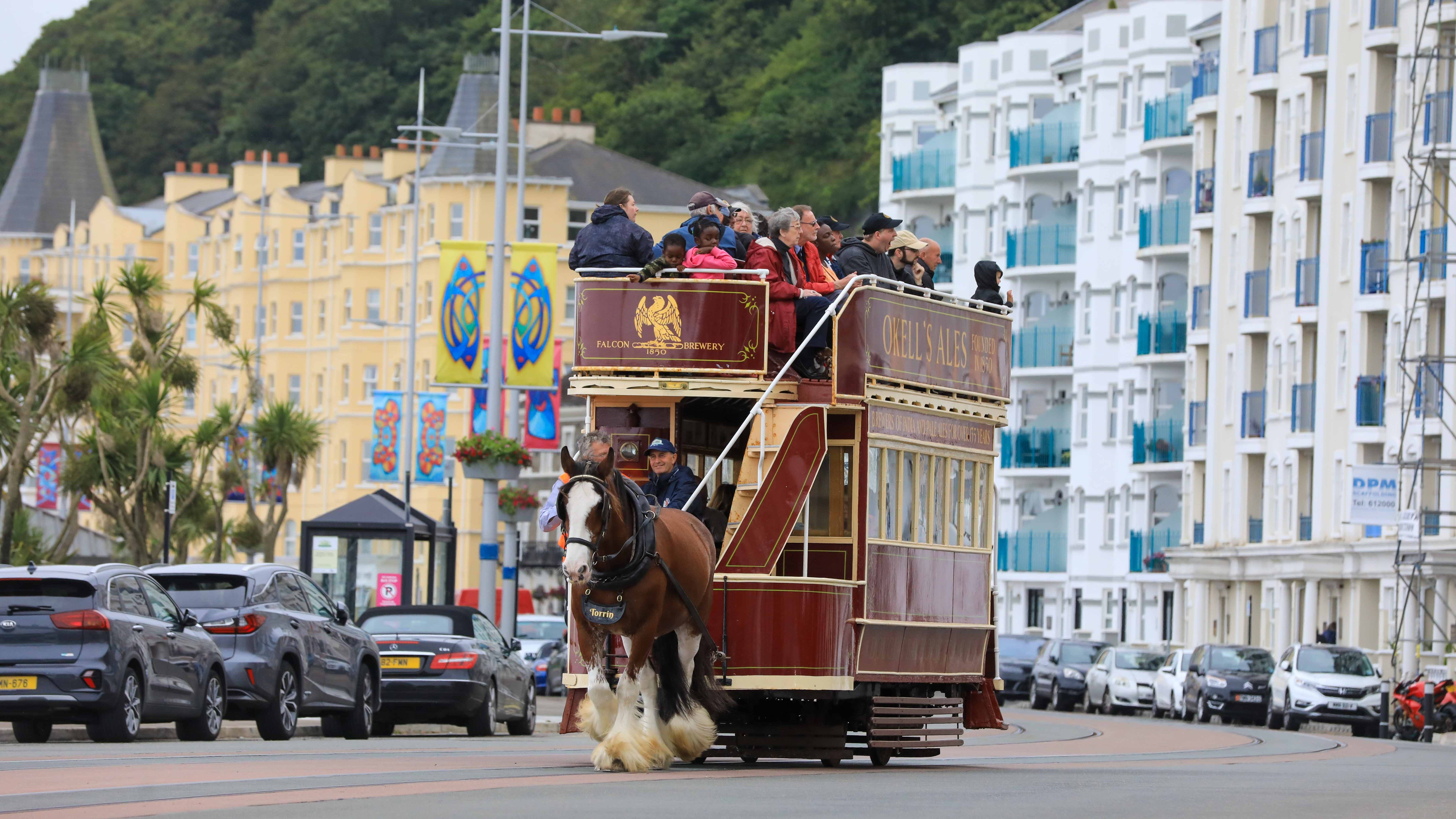 Work to put Isle of Man's horse tra